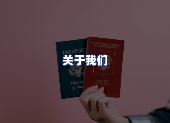 专业团队